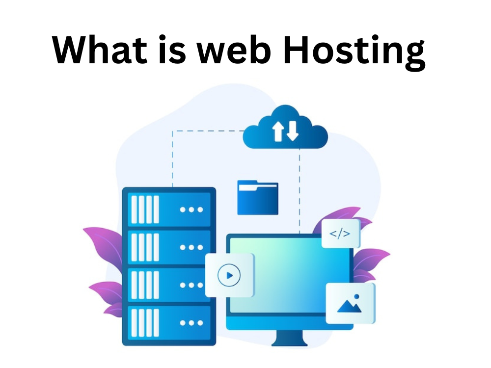 what is web hosting